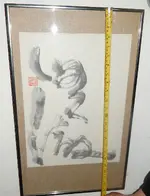 DSCN2573.webp