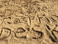 in the sand1.webp in the sand1.webp