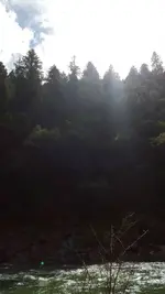 1458617069402.webp