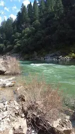 1458617079639.webp