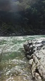 1458617089166.webp