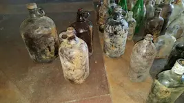 1459278772505.webp