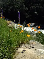 ImageUploadedByTreasureNet.com1459825131.668627.webp