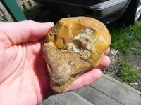 DSCN3558.webp