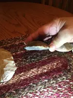 ImageUploadedByTreasureNet.com1459837646.191119.webp