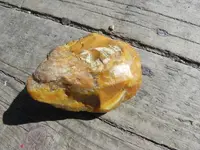 DSCN3559.webp