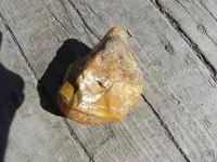 DSCN3560.webp