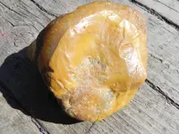 DSCN3561.webp
