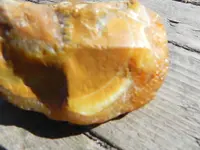 DSCN3563.webp