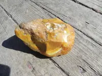 DSCN3564.webp