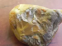 DSCN3566.webp