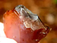 DSCN4799.webp