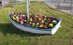 thTEF7NJ8O boat 2.webp