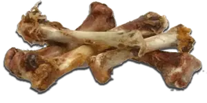 Chicken-Bones.webp