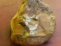 DSCN3569.webp