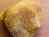DSCN3571.webp