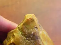 DSCN3572.webp