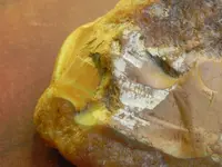 DSCN3575.webp