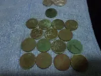 SAM_2453.webp