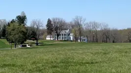 1461198270838.webp