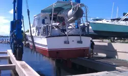 IMAG0287.webp