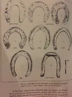 ImageUploadedByTreasureNet.com1460487553.134101.webp