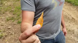 20160416_120907.jpg 20160416_120907.jpg