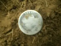Barber Dime 1903.webp