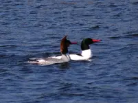 DSCN0137.webp