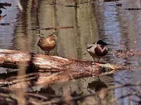 DSCN0131.webp