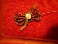 DSCN0475.webp