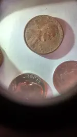 penny.webp