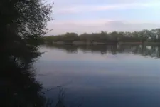 IMAG0054.webp