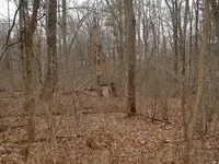 DSCF0002.webp