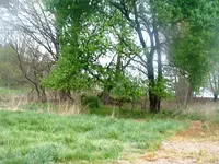 DSCF0001(4).webp
