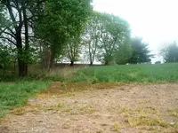 DSCF0003(4).webp