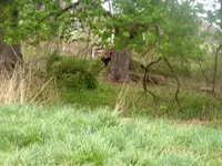 DSCF0007.webp