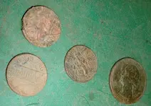 DSCF0001(3).webp