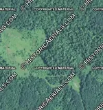 3.webp