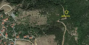 anat_04.webp