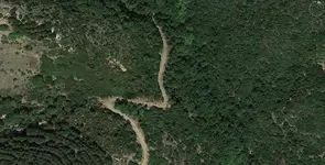 anat_07.webp