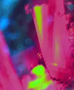 hand.webp