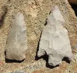 DSCN8482.webp