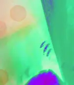 hand4neg.webp