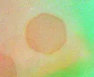hand4negB.webp