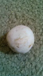 KIMG0077.webp