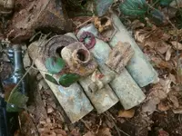 DSC_0230.webp