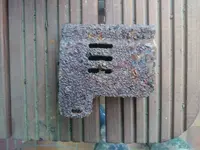 DSC_0276.webp