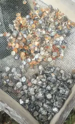 pennys.webp