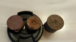 Shotgun Shell heads 3-26-16 Evergreen Park.webp
